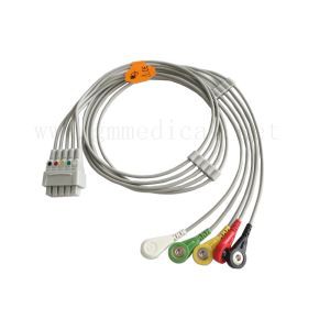 "GE Marquette" "Multi-link Leadwire" rinkinys, 5-Lead, Snap, IEC, 29in (76cm) ir VS 2PIN
